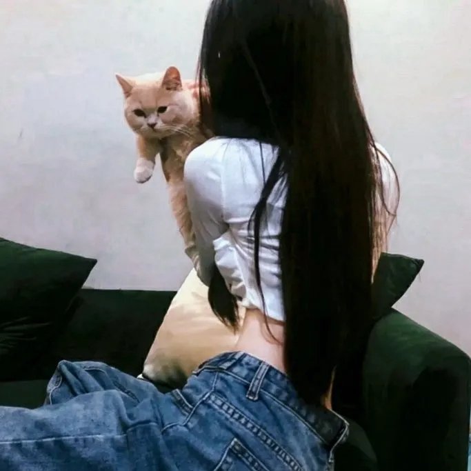 老千计状元才